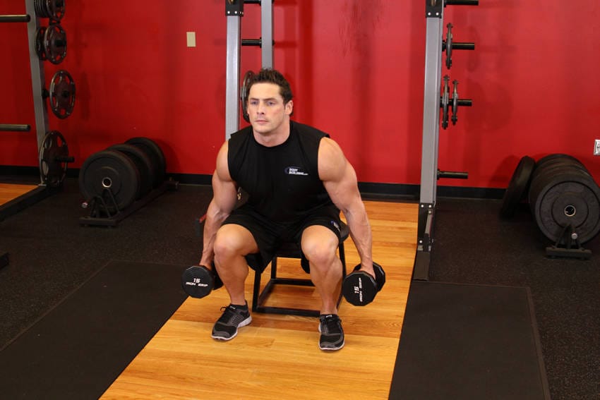 Dumbbell Squat To A Bench - Step 1