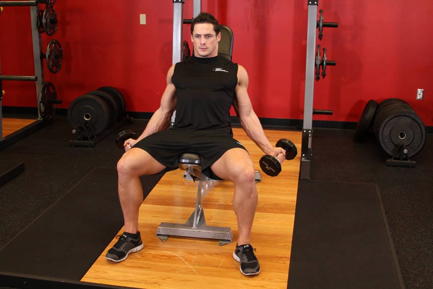 Incline Inner Biceps Curl - Step 0