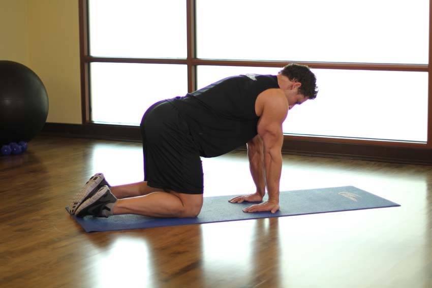 Kneeling Forearm Stretch - Step 0