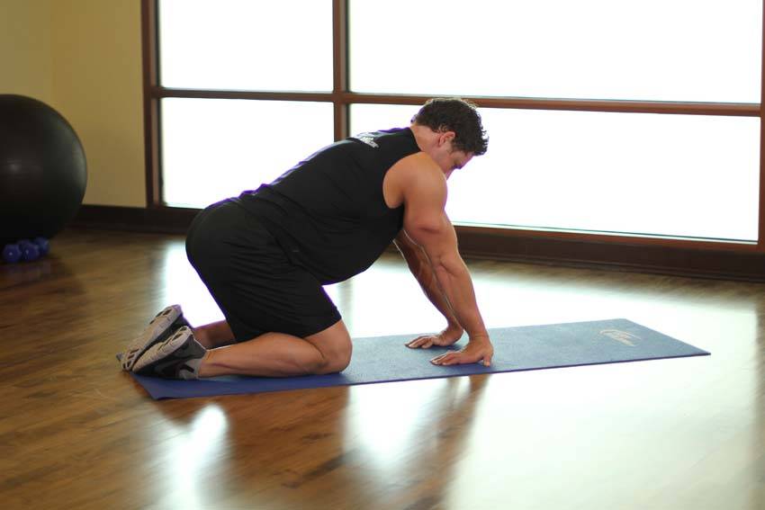 Kneeling Forearm Stretch - Step 1