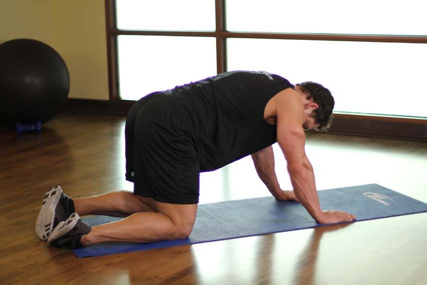 Rear Leg Raises - Step 0