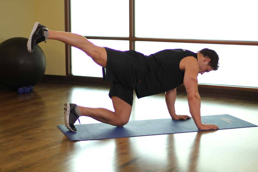 Rear Leg Raises - Step 1