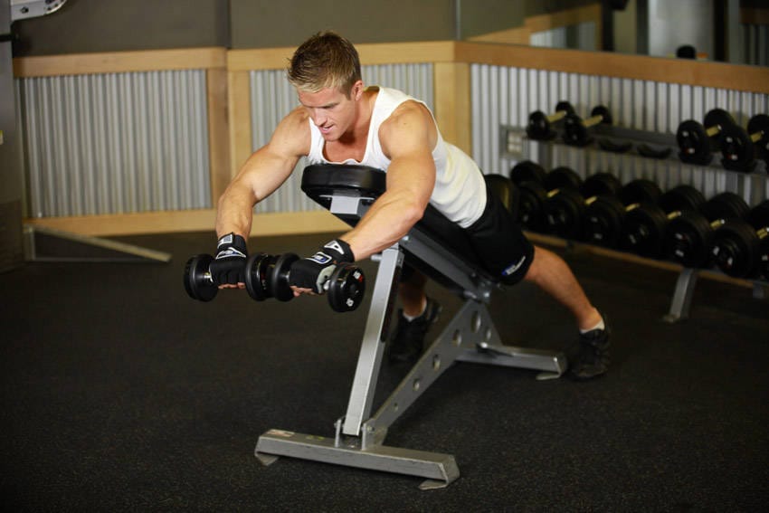 Reverse Flyes With External Rotation - Step 0