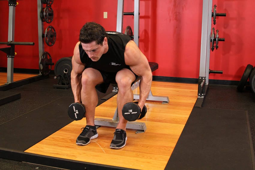 Seated Bent-Over Rear Delt Raise - Step 0