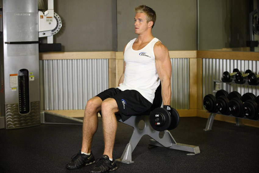 Seated Dumbbell Curl - Step 0
