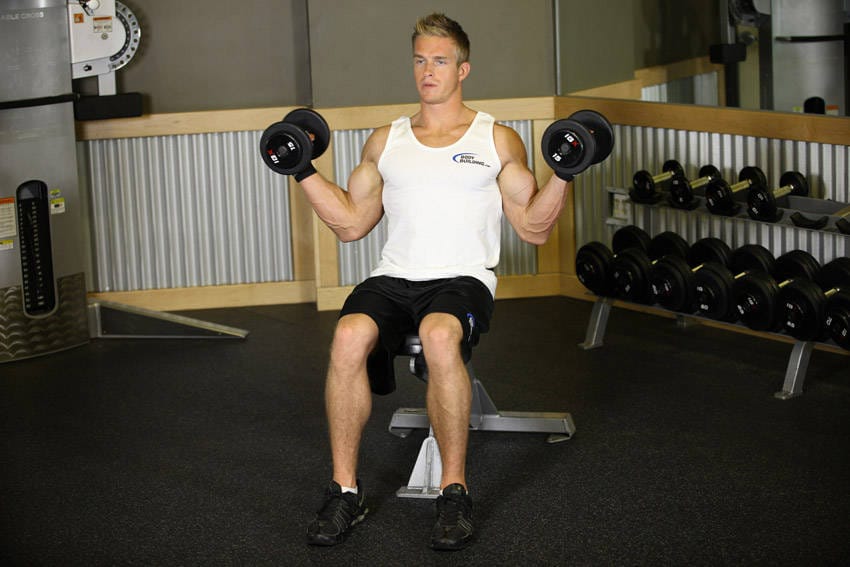 Seated Dumbbell Inner Biceps Curl - Step 1