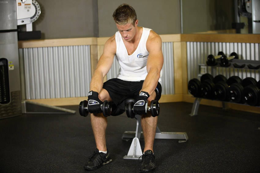 Seated Dumbbell Palms-Down Wrist Curl - Step 0