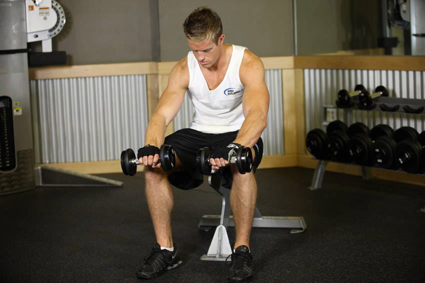 Seated Dumbbell Palms-Down Wrist Curl - Step 1
