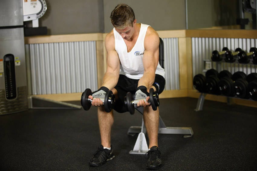 Seated Dumbbell Palms-Up Wrist Curl - Step 0