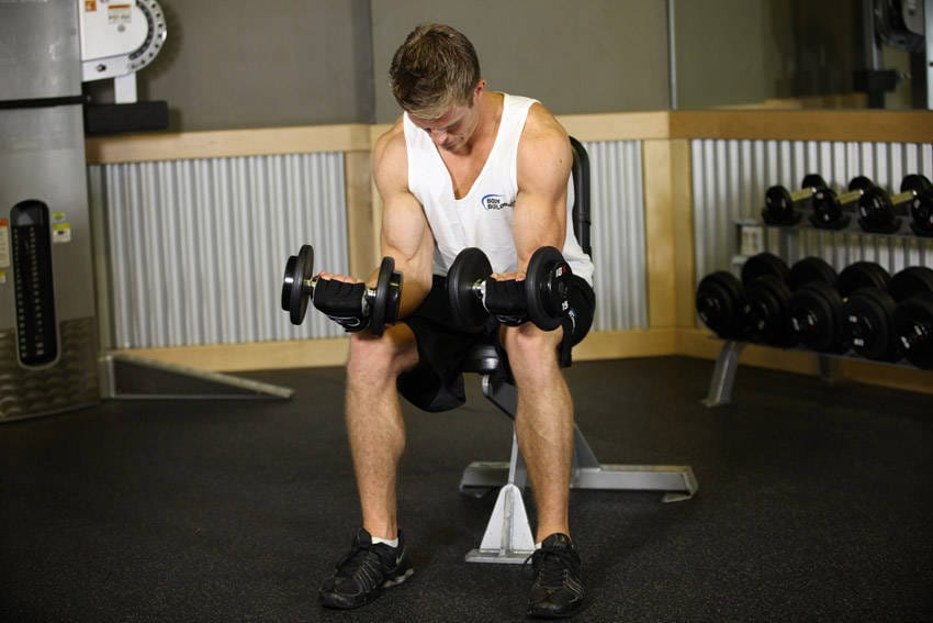 Seated Dumbbell Palms-Up Wrist Curl - Step 1