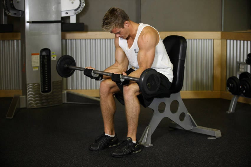 Seated Palm-Up Barbell Wrist Curl - Step 1