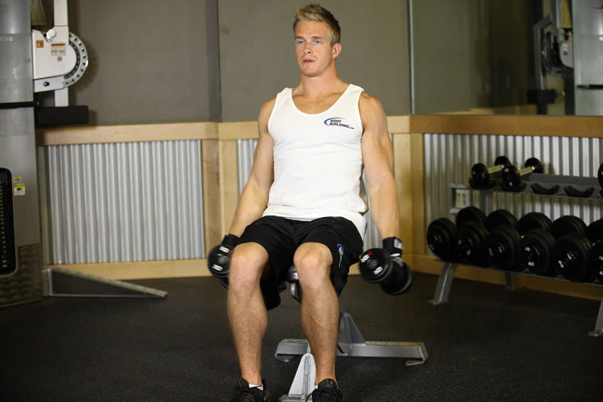 Seated Side Lateral Raise - Step 0