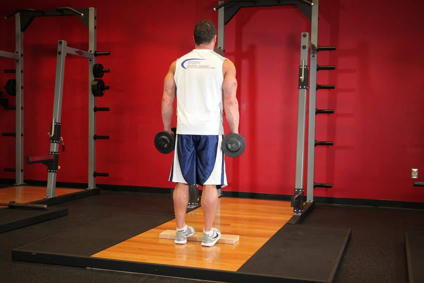 Standing Dumbbell Calf Raise - Step 0
