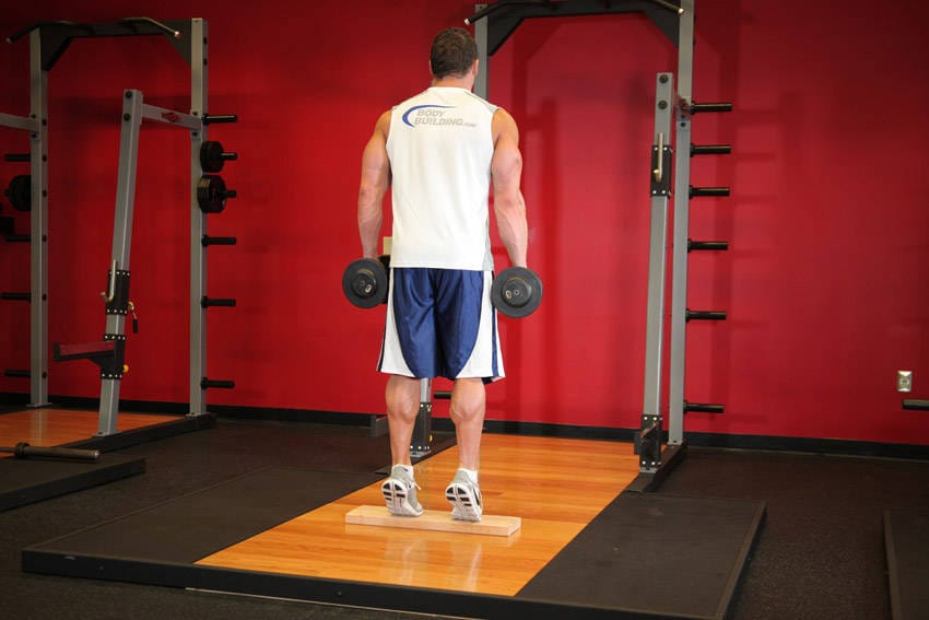 Standing Dumbbell Calf Raise - Step 1