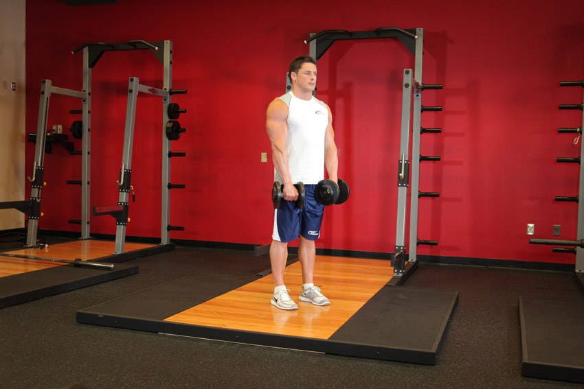 Standing Dumbbell Reverse Curl - Step 0