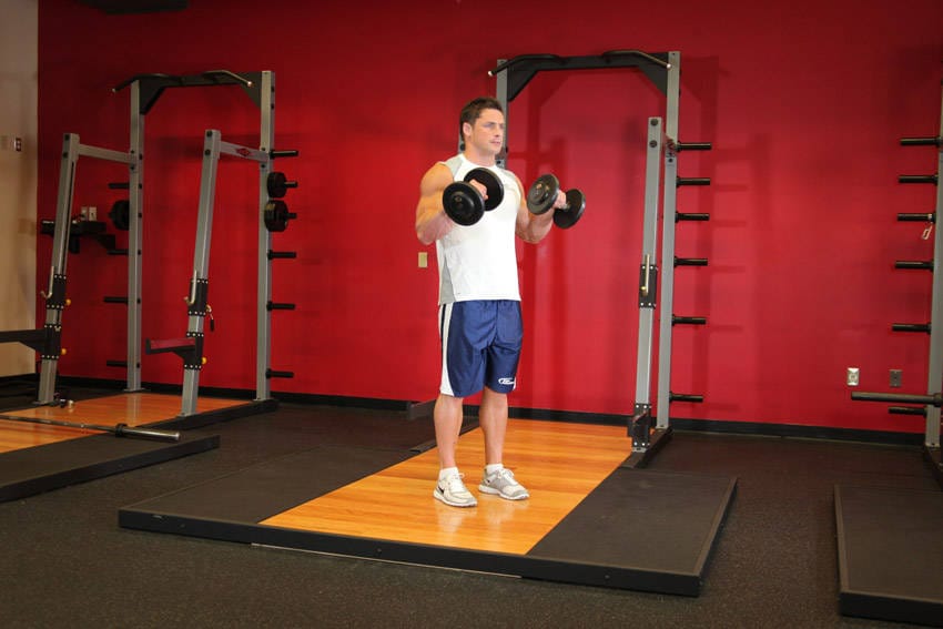 Standing Dumbbell Reverse Curl - Step 1