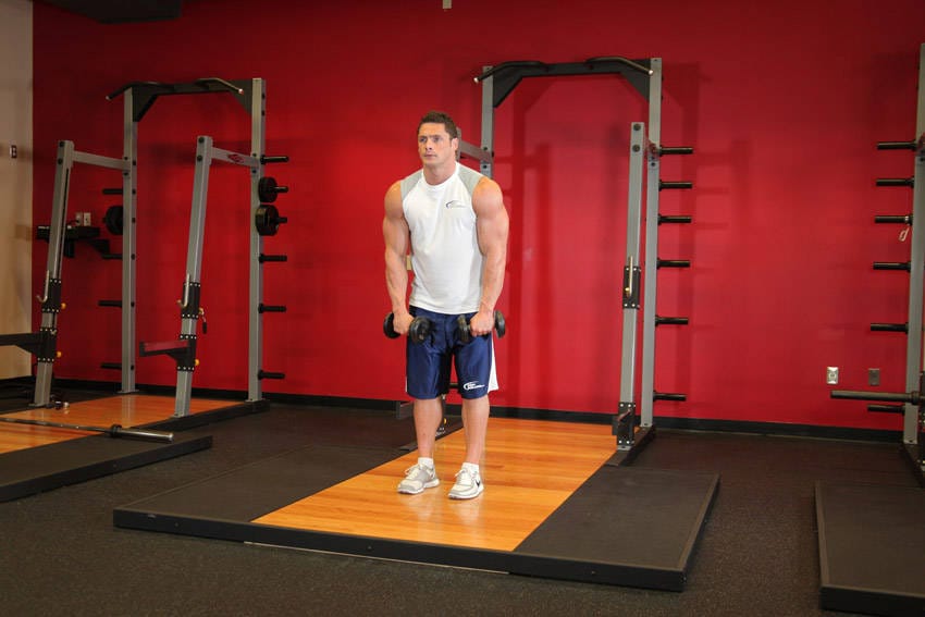 Standing Dumbbell Straight-Arm Front Delt Raise Above Head - Step 0