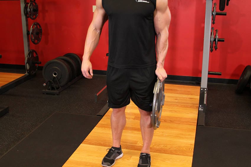 Standing Olympic Plate Hand Squeeze - Step 1