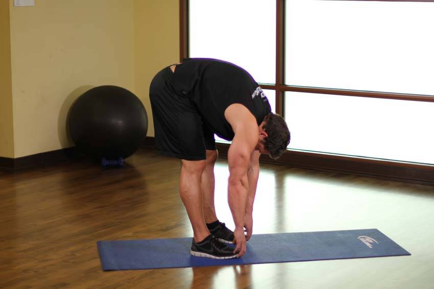 Standing Toe Touches - Step 1
