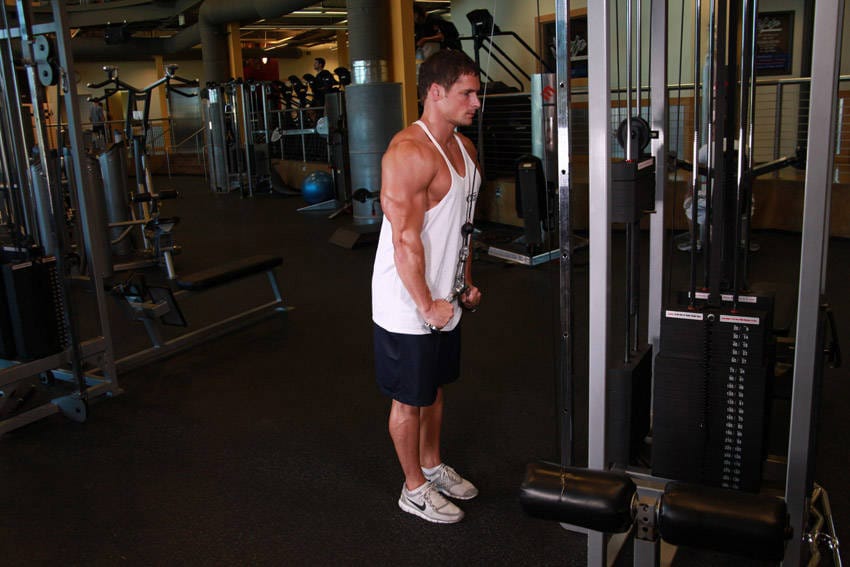 Triceps Pushdown - V-Bar Attachment - Step 1
